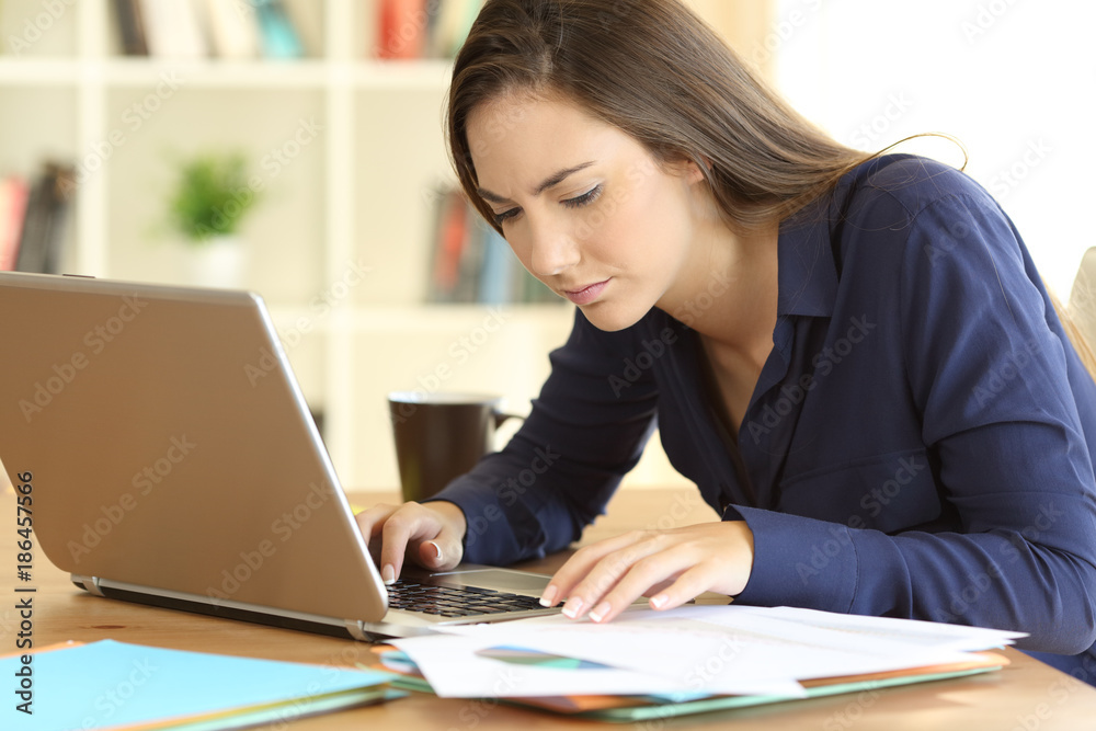 Entrepreneur comparing documents on line at home Entrepreneur comparing documents on line at home