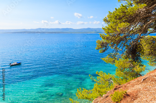 Pine trees and green plants on sea coast with view of famous Zlatni Rat beach in Bol town, Brac island, Croatia