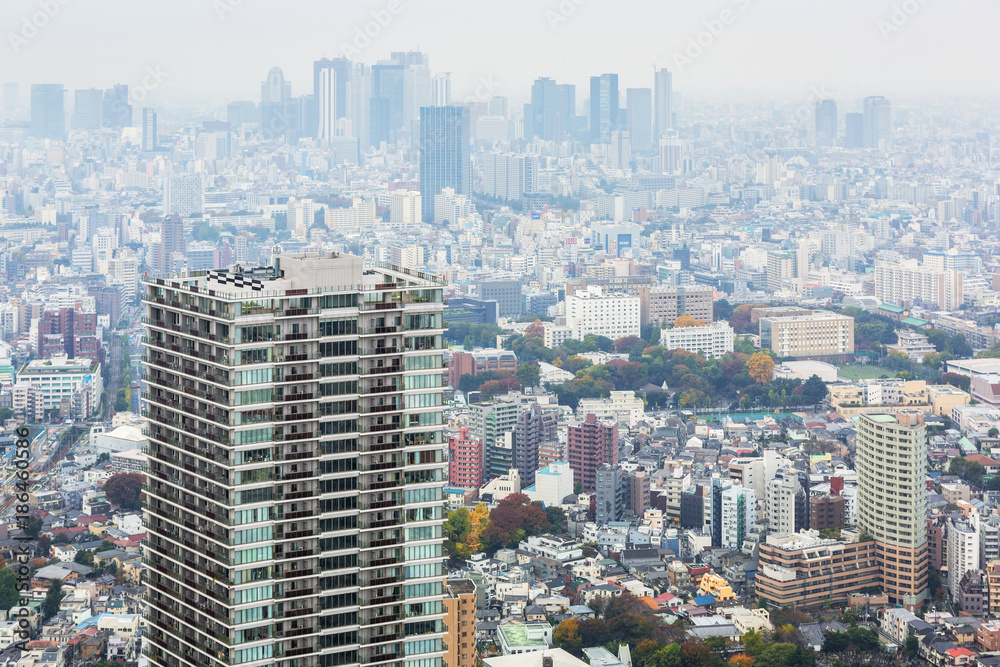 Aerial view for Tokyo metropolis from Ikebukuro, Japan. 