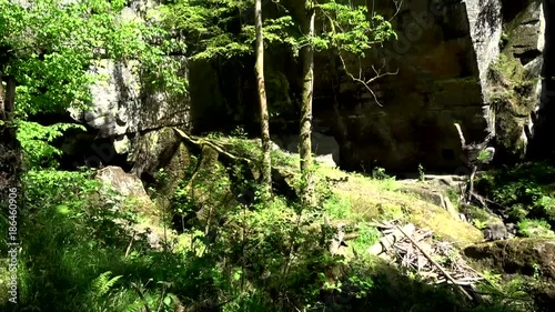 Kammnitzklamm, Böhmen, Tschechien
 photo