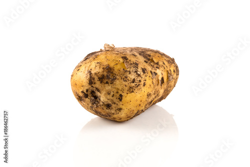 Dirty potato isolated on white background.