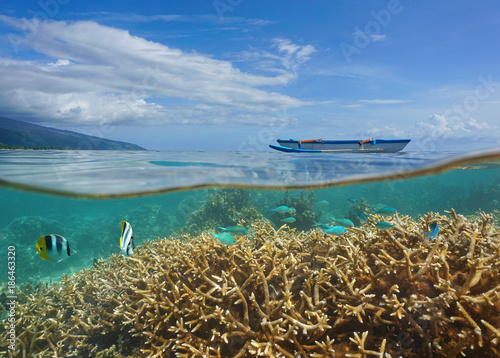 Over and under sea surface in the lagoon of Tahiti island, coral and tropical fish underwater with an outrigger canoe, West coast in Punaauia, French Polynesia, Pacific ocean photo