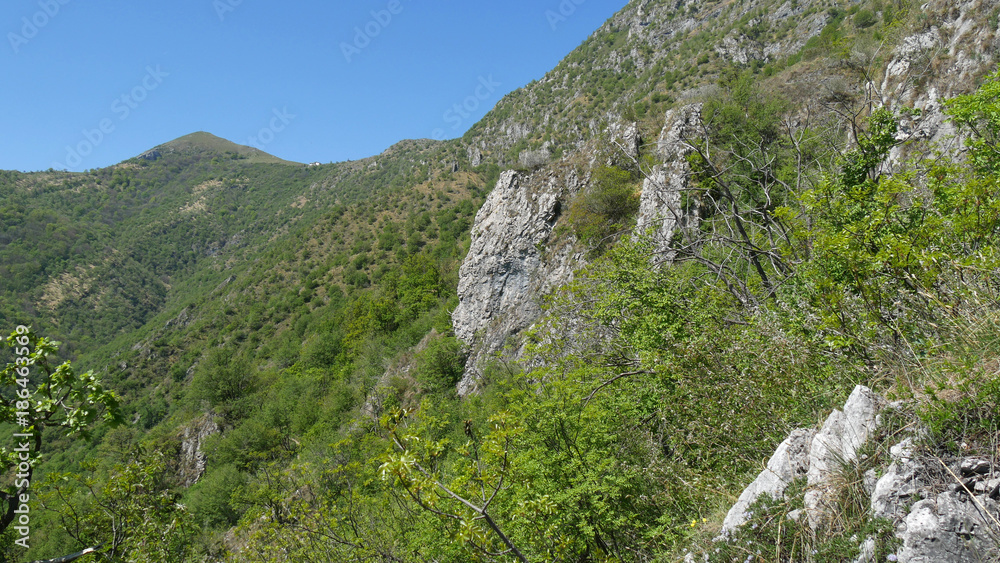Naklejka premium Panorama delle prealpi di Lecco