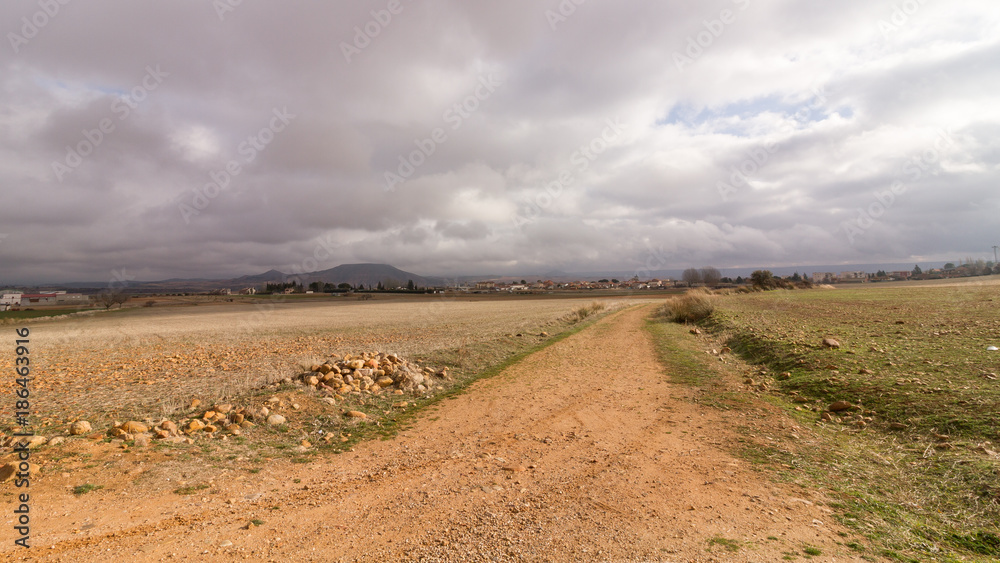 Campos invierno Guadalajara