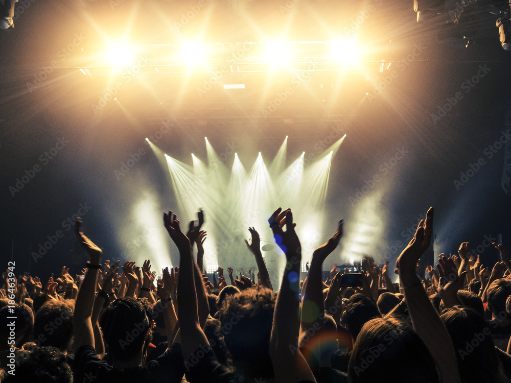 Concert Crowd Ecstatic