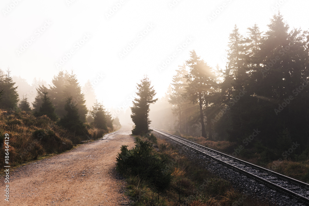 Wanderweg direkt neben den Bahnschienen, Sonnenaufgang im Harz Wanderweg direkt neben den Bahnschienen, Sonnenaufgang im Harz