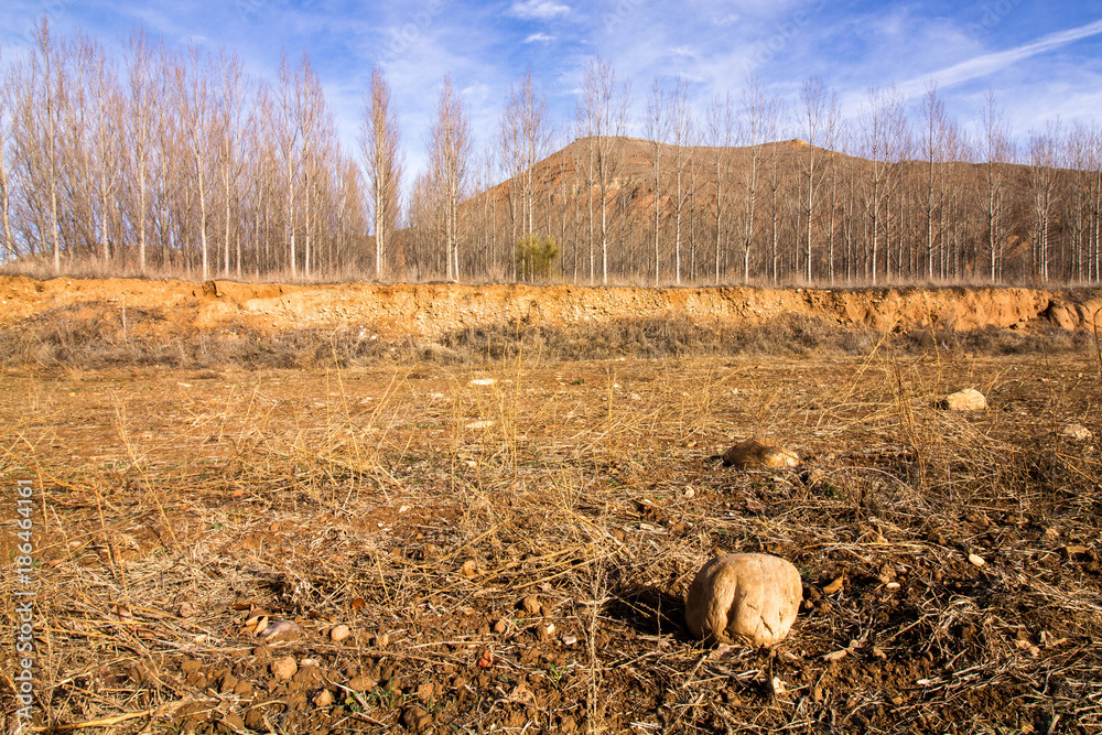 Obraz premium montañas invierno