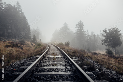 Eisenbahnschienen führen durch eine neblige Landschaft im Harz