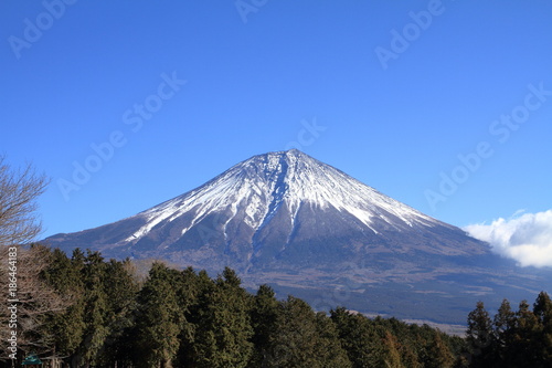 朝霧高原からの富士山 (冬)