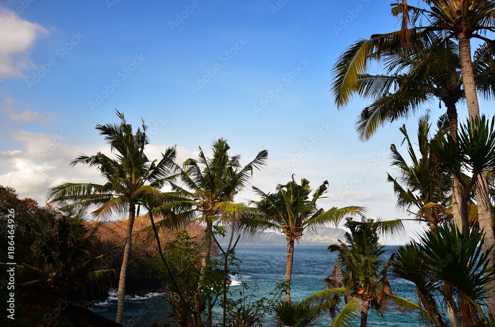 Seascape of tropical bay with palms landscape