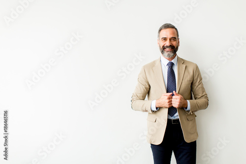 Portrait of senior businessman