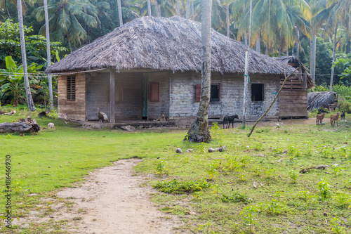 Rural hut with thatched roof Playa Maguana beach near Baracoa, Cuba