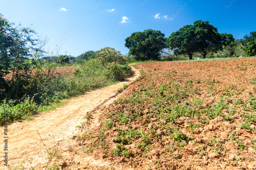 Muddy road near Valle de Ancon village, Cuba Muddy road near Valle de Ancon village, Cuba