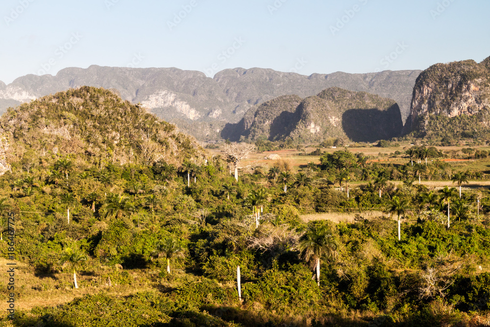 Morning view of Vinales valley with mogotes (limestone hills), Cuba