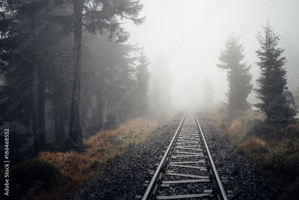 Die Bahnschienen der Dampflok führen durch den Nebel Wald - obrazy, fototapety, plakaty 