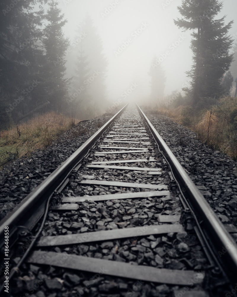 Fototapeta premium Perspektive vom Gleisbett mit Nebel und Wald im Harz