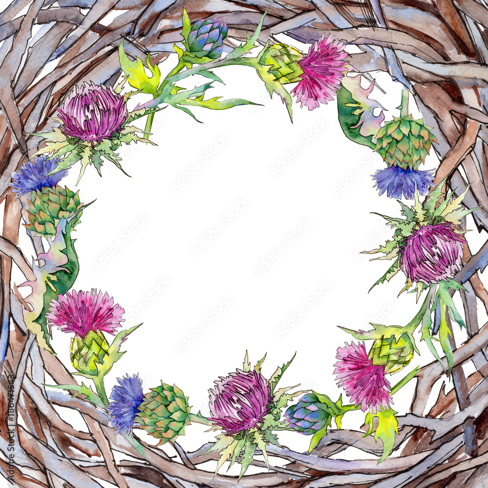 Wildflower thistle flower frame in a watercolor style. Full name of the plant: thistle. Aquarelle wild flower for background, texture, wrapper pattern, frame or border. Wildflower thistle flower frame in a watercolor style. Full name of the plant: thistle. Aquarelle wild flower for background, texture, wrapper pattern, frame or border.
