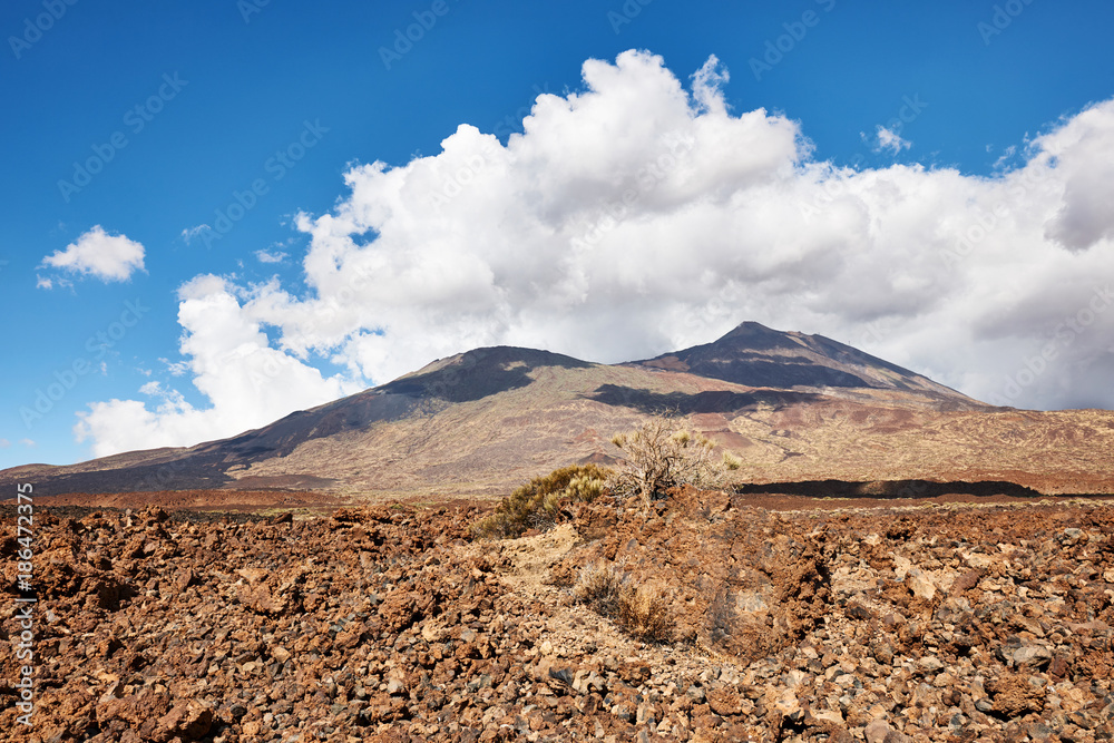 Teide Volcano in Tenerife island