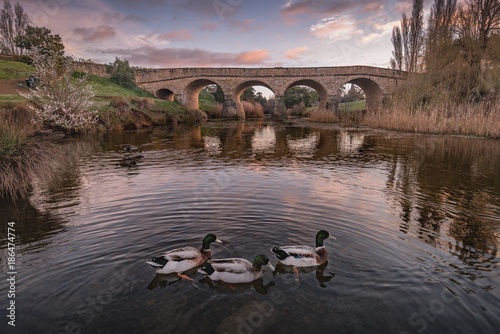 Old Richmond Bridge in Tasmania With Ducks