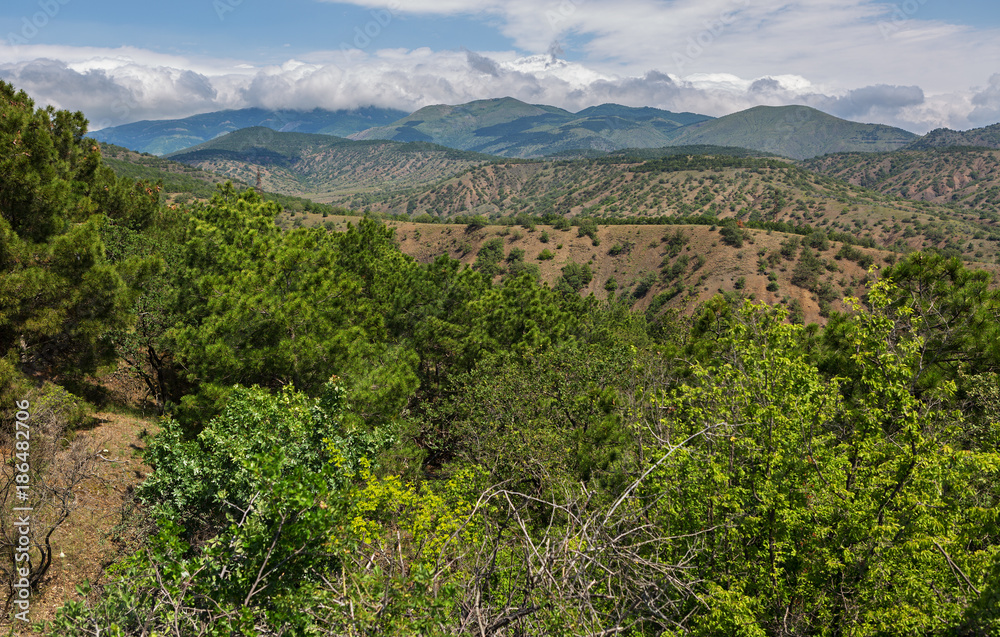 Fototapeta premium Beautiful summer landscape in mountains of Crimea.