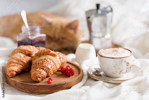 Breakfast in bed with croissants, coffee and jam. Horizontal view. Ginger cat laying on background
