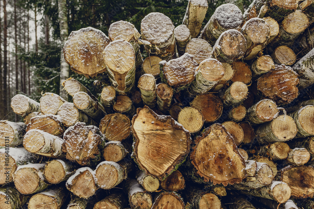 Pile of logs. Preparation of firewood. Pile of logs. Preparation of firewood.