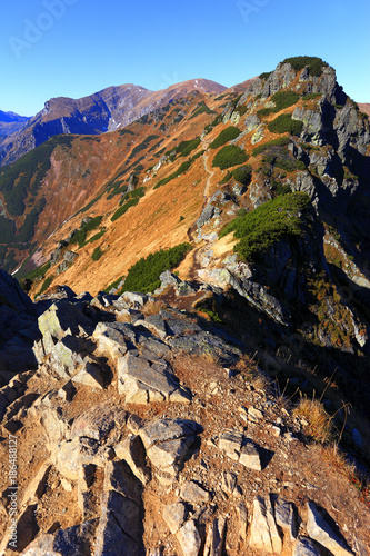 Fototapeta Naklejka Na Ścianę i Meble -  Poland, Tatra Mountains, Zakopane – Goryczkowa Czuba and Wysokie Wrotka peaks, in the back Czerwone Wierchy, Kopa Kondracka Malolaczniak and Krzesanica peaks
