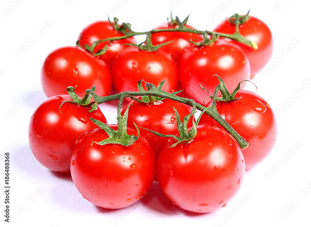 Tomates en grappes sur fond blanc