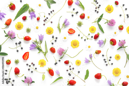 Composition pattern from plants  wild flowers and  berries  isolated on white background  flat lay  top view. The concept of summer  spring  Mother s Day  March 8. 