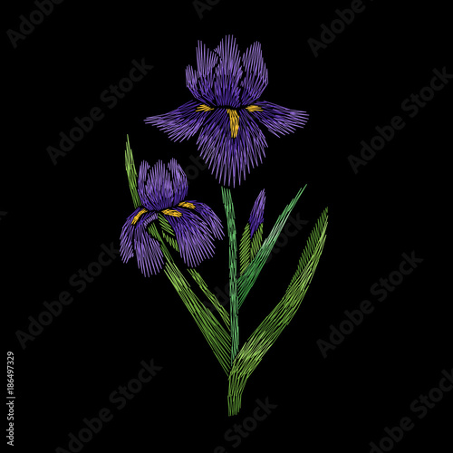 Fototapeta Naklejka Na Ścianę i Meble -  Embroidery floral pattern with iris