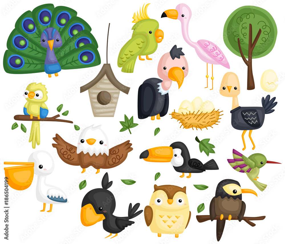 Birds vector set Birds vector set