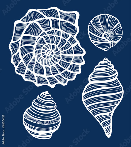 Set of Shells. Collection of Sea Design Elements in Hand Drawn Graphic Style. Vector Illustration