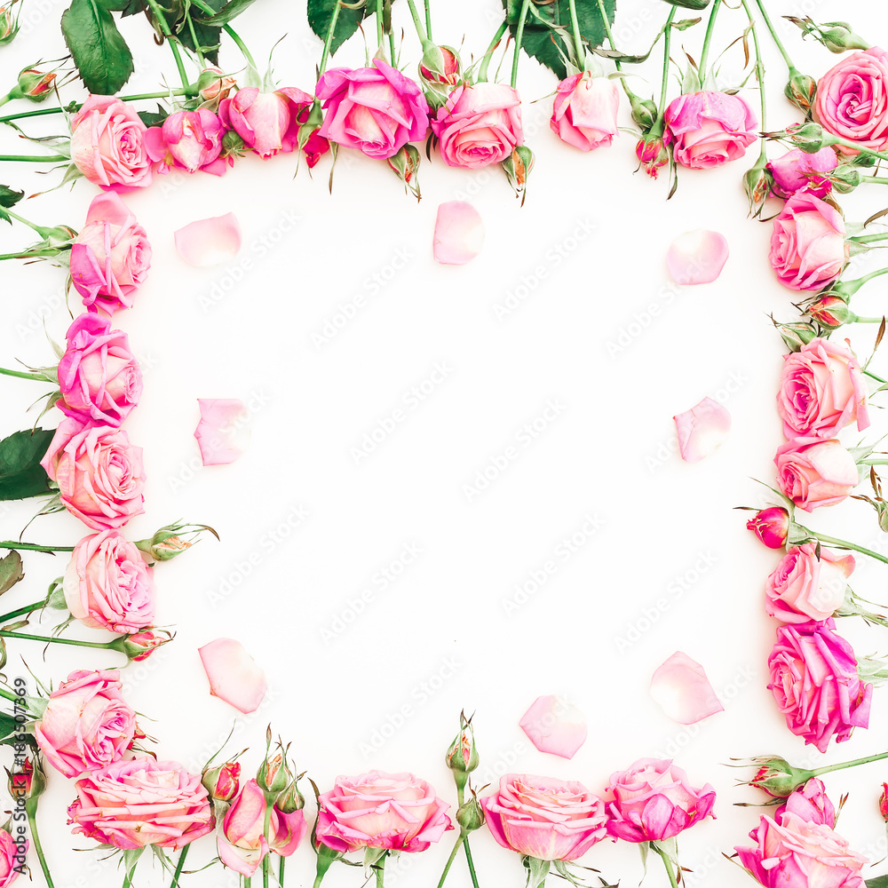 Flower frame of pink roses and petals on white background. Flat lay, Top view.