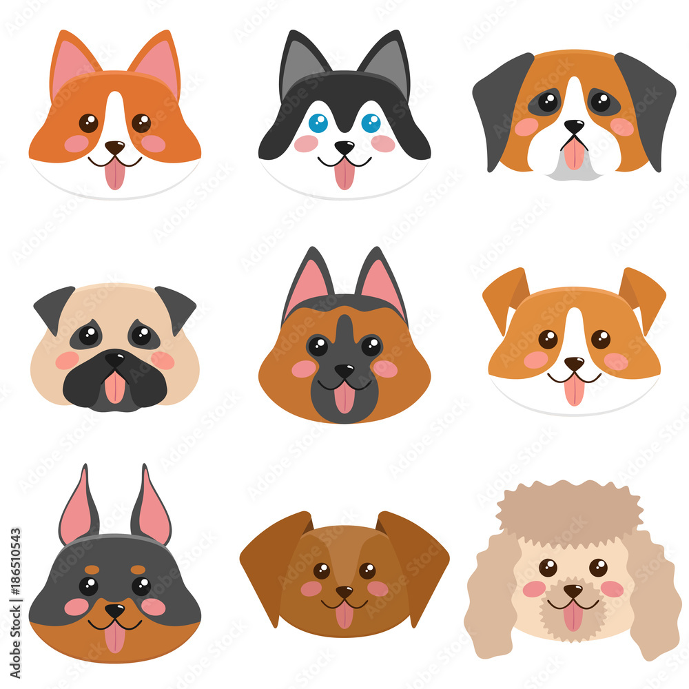 Fototapeta premium Cute dog faces collection. Corgi, husky, Jack Russel terier, dachshund, pug, german shepherd dog, st. Bernard dog, dobermsn, poodle. Vector illustration