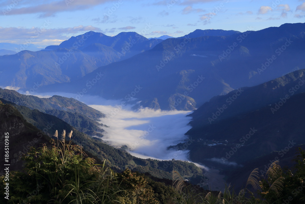 Fototapeta premium 阿里山国家風景区・雲海