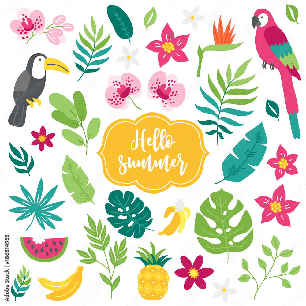 Fototapeta premium Set of tropical elements. Toucan, macaw, bamboo, pineapple, orchid, watermelon