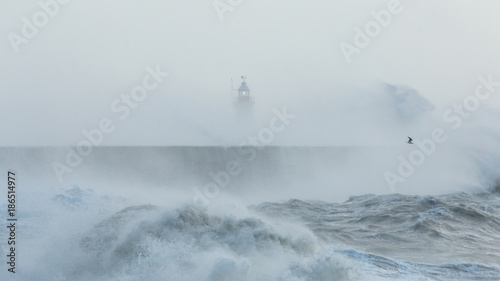 Newhaven, Sussex, Stormy Seas With Wave Crashing against Sea Wall.  Lighthouse Partially Visible Behind.  Seagull Flying Through Spray.