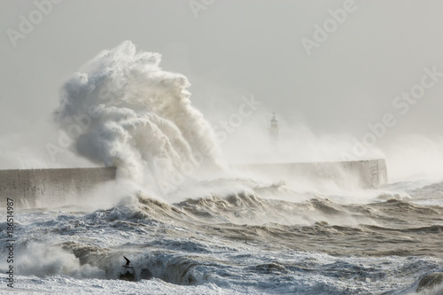 Fototapeta Naklejka Na Ścianę i Meble -  Newhaven, Sussex, Stormy Seas With Wave Crashing against Sea Wall.  Lighthouse Partially Visible Behind.  Seagull Flying Through Spray.