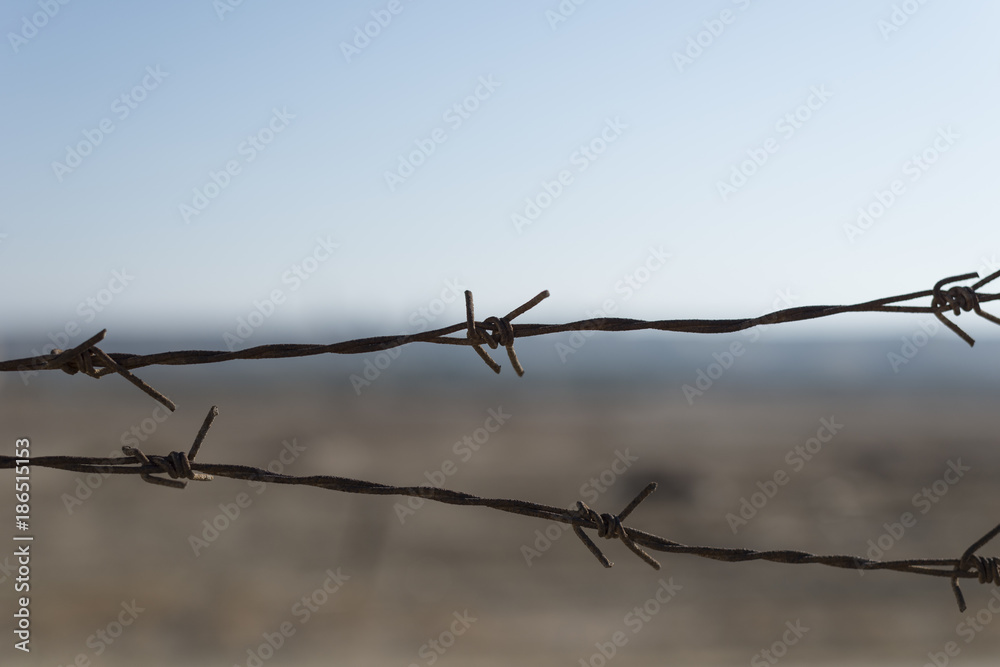 wire wire