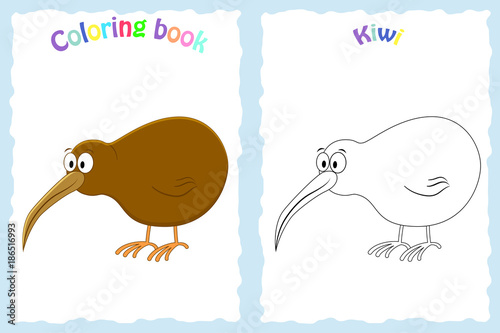 Coloring book page for preschool children with colorful kiwi bird and sketch to color