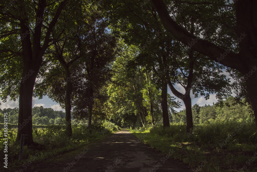 Sommerweg Sommerweg