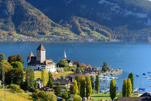 View of lake Thun in Switzerland during autumn season from Spiez train station photo