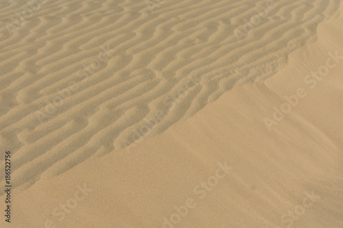 sam sand dunes in thar desert jaisalmer rajasthan india