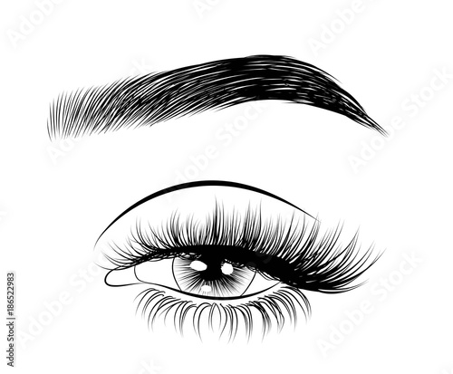 Hand-drawn woman's sexy luxurious eye with perfectly shaped eyebrows and full lashes. Idea for business visit card, typography vector. Perfect salon look.