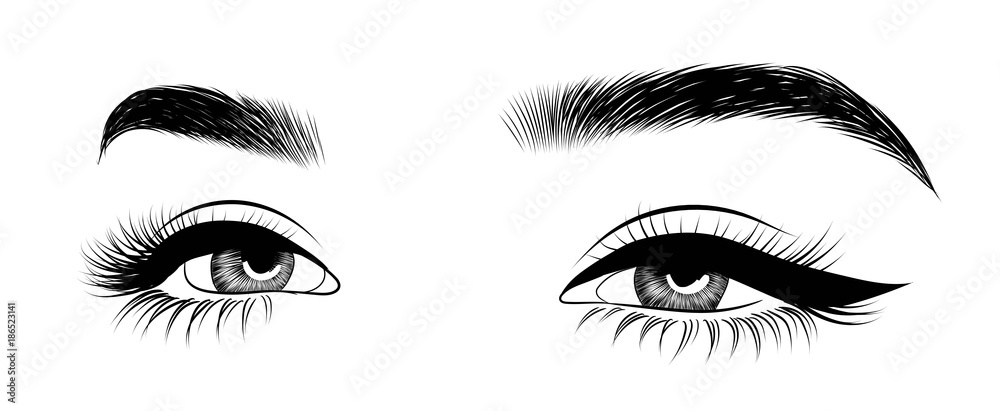 Fototapeta premium Hand-drawn woman's fresh luxurious eye with perfectly shaped eyebrows and full lashes. Idea for business visit card, typography vector. Perfect salon look.