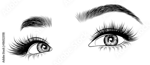 Hand-drawn woman's fresh luxurious eye with perfectly shaped eyebrows and full lashes. Idea for business visit card, typography vector. Perfect salon look.