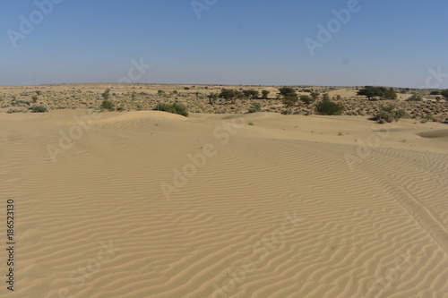 Fototapeta Naklejka Na Ścianę i Meble -  sam sand dunes in thar desert jaisalmer rajasthan india