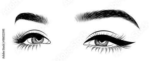 Hand-drawn woman's fresh luxurious eye with perfectly shaped eyebrows and full lashes. Idea for business visit card, typography vector. Perfect salon look.
