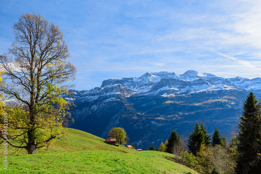 Panoramic view of lake Brienz & Swiss alps from classic old red train, Brienz Rothorn Bahn during autumn season Panoramic view of lake Brienz & Swiss alps from classic old red train, Brienz Rothorn Bahn during autumn season