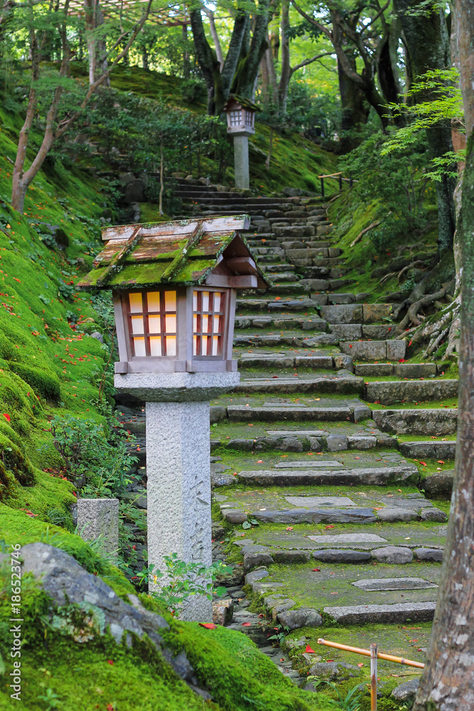 Japanese garden Japanese garden